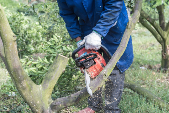 園林剪刀與園林工具 園藝愛好者的得力助手